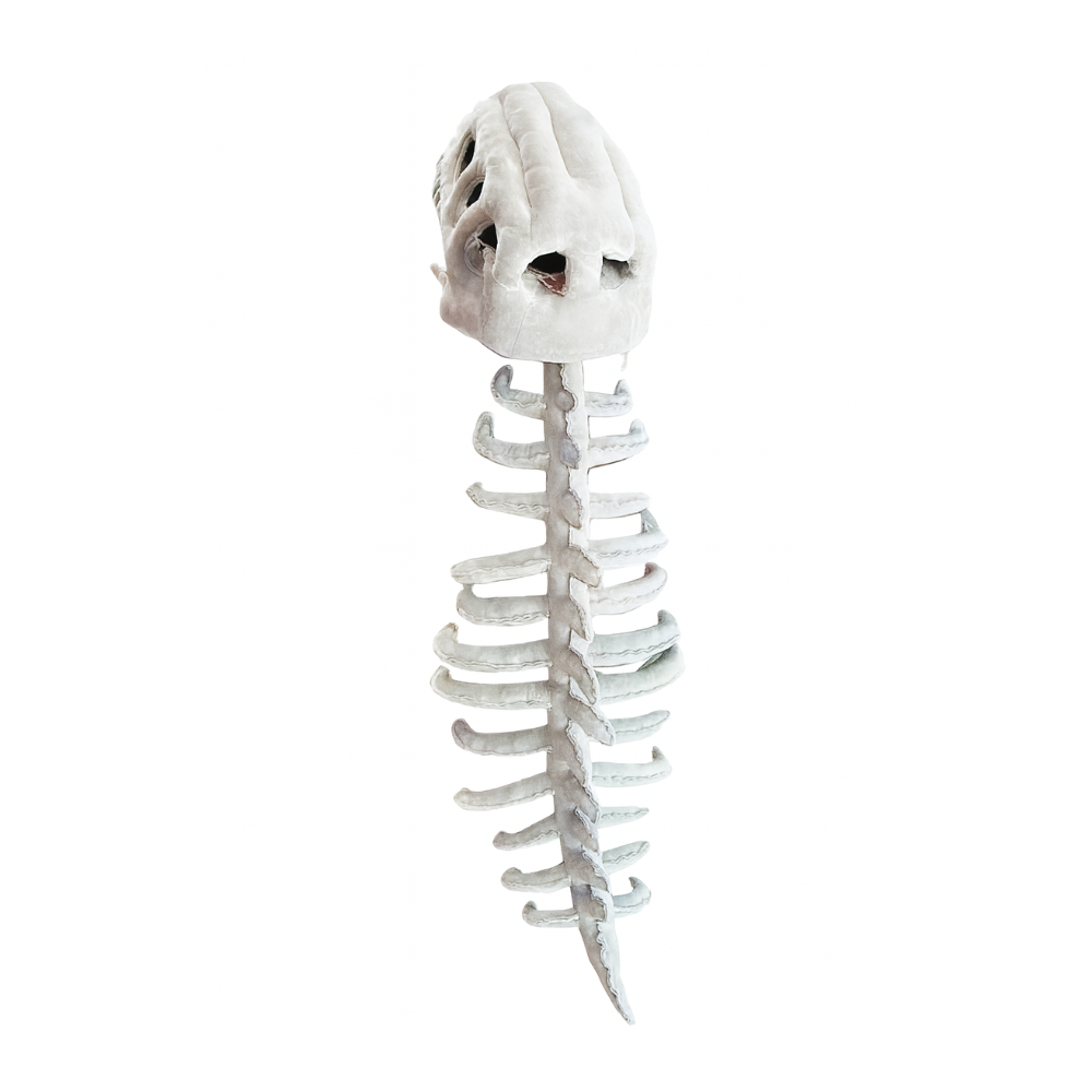 SpineSaur ™