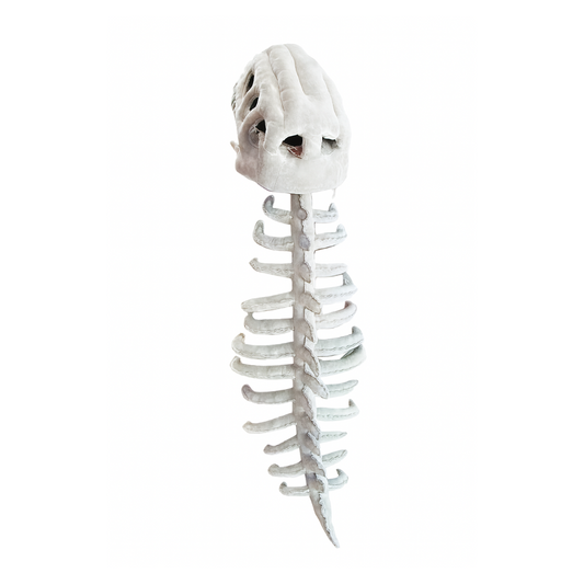 SpineSaur ™